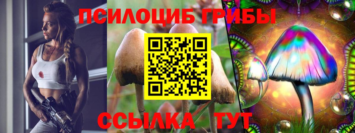 Псилоцибиновые грибы мицелий  Псилоцибиновые грибы прущие грибы  Вход с VPN  Ртищево 